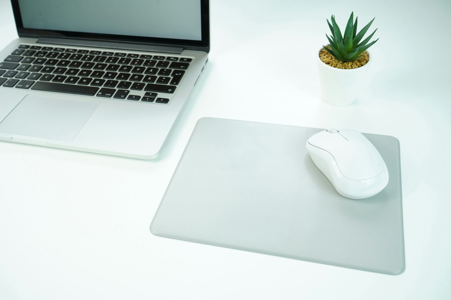 Laptop en vetplant op een schoon wit bureau.